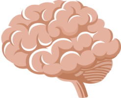 cerveau symbole Couleur png