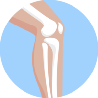 bone leg symbol png