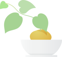 Plant in vase png