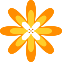 flor floral elementos símbolo ícones coloridos png