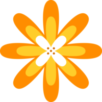 floral fleur éléments symbole icônes coloré png