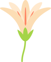 Blumenblumenelemente Symbolikonen bunt png