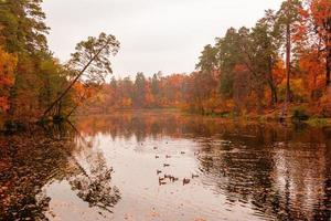 Beautiful lake in a forest with autumn trees photo