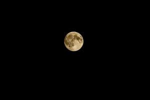 full moon, moon yellow photo