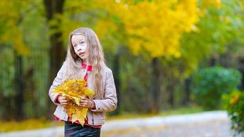 poco ragazza all'aperto a bellissimo autunno giorno giocando con le foglie video