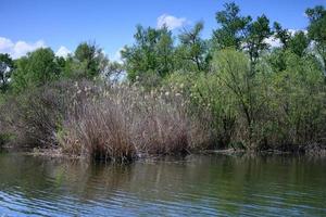 Landscapes of the Dnieper river floodplain on a spring day photo