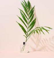 Tansparent glass vase and green palm leaf on a beige background. photo