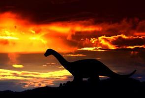 silhouettes of dinosaurs in the forest on sunset background with copy space add text photo