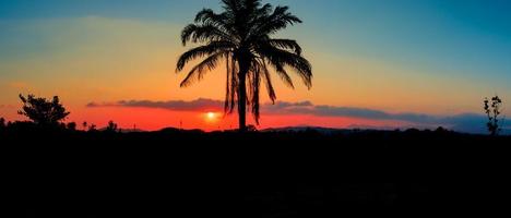 panorama view silhouette coconut tree in sunset on sky beautiful colorful landscape and city countryside twilight time art of nature photo