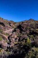 vista escénica del desierto foto