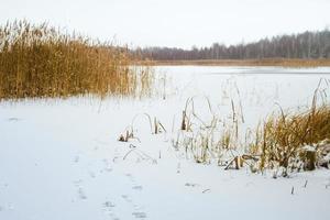 Beautiful frozen lake panorama with fisherman foosteps on icy lake with fragile new ice. Dangers on ice and Ice fishing photo