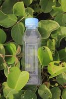 photo of a plain used bottle with daylight