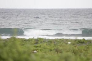 photo of black sand beach during the day