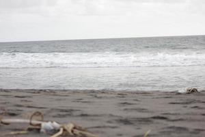 photo of black sand beach during the day