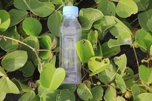 photo of a plain used bottle with daylight