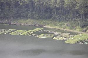 foto de un lago con amplio aguas, durante el día