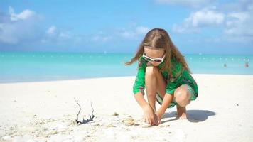 Little cute girl with seashell in hands at tropical beach. Adorable little girl playing with seashells on beach video