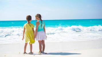 aanbiddelijk weinig meisjes hebben een veel van pret Aan de strand. twee mooi kinderen rennen en spatten in Ondiep water video