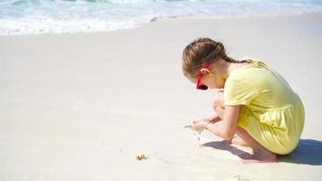 adorável pequeno menina jogando com areia em branco de praia. feliz criança apreciar período de férias em caribe ilha video