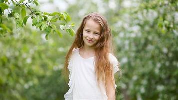 menina adorável no jardim de maçã florescendo em lindo dia de primavera video
