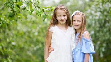 Adorable little girls in blooming apple tree garden on spring day video