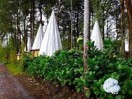 The Standing Tents photo