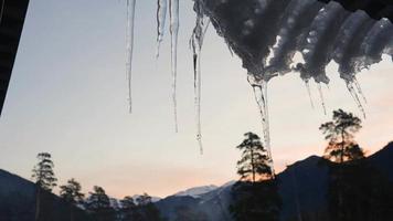 Nahansicht. gefroren Eiszapfen auf das Kante von das Dach auf das Hintergrund von ein Berg Landschaft im das Abend. Winter Zeit. schleppend Bewegung. video