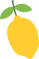 limón ilustración mano dibujado estilo png