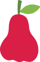 Rosa manzana ilustración mano dibujado estilo png