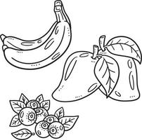 banana, mango y arándano aislado colorante página vector