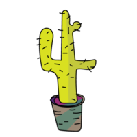 hand- getrokken tekenfilm tekening cactus png