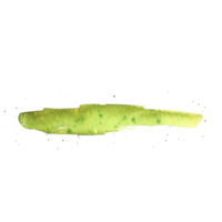 hierba verde acuarela png