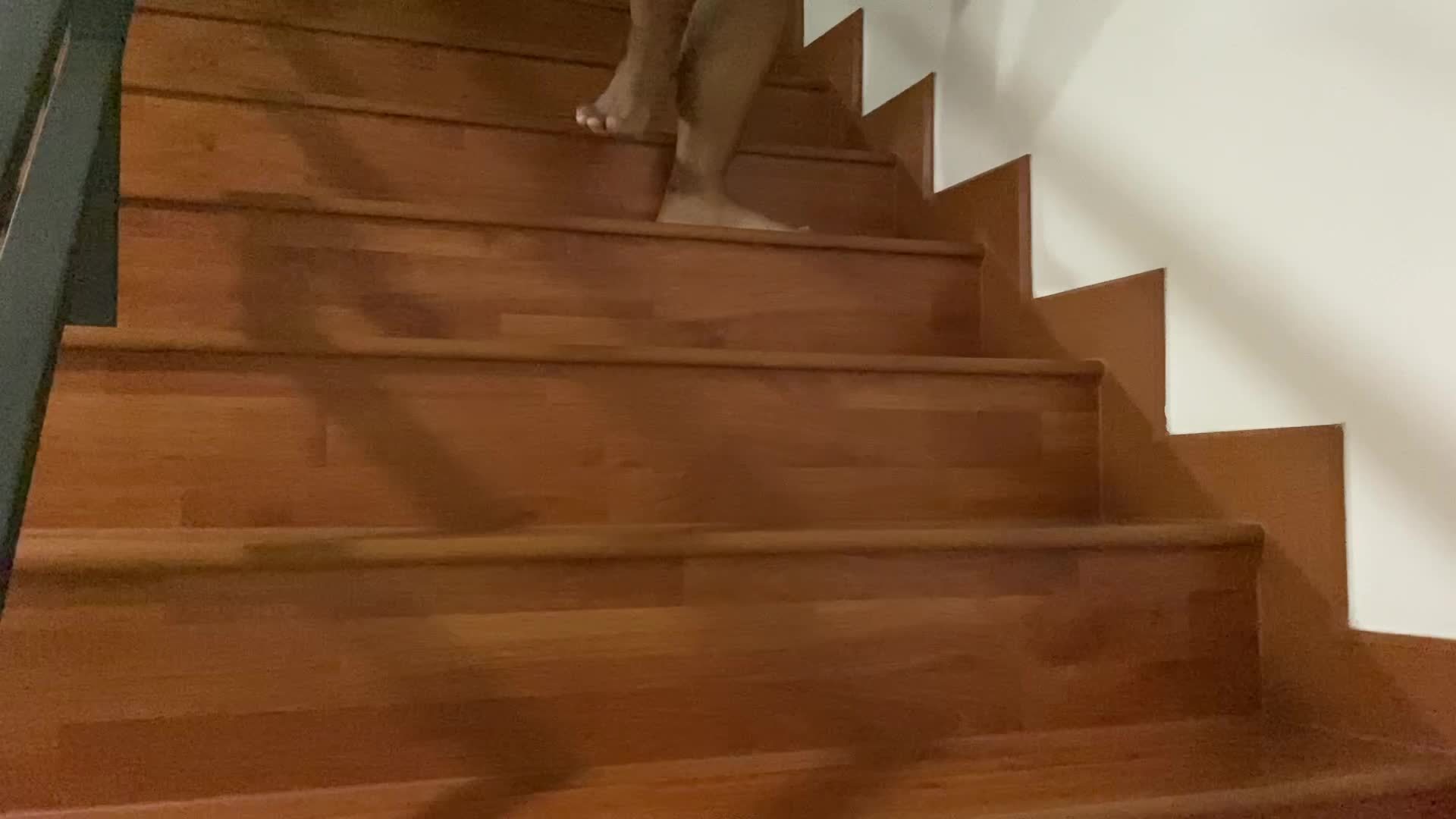 angrily-walked-down-the-stairs-19635888-stock-video-at-vecteezy