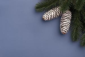 Christmas Mockup with fir branches and cones photo