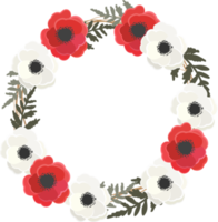 red and white anemone or poppy flower wreath frame png