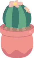 cute minimal cactus and succulent in pot png
