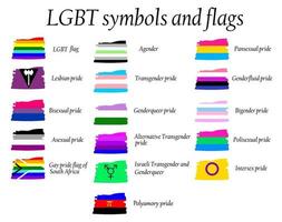 colección oficial de la bandera del orgullo lgbt, lesbiana, gay, bisexual y transgénero. colección de signos para personas de diferentes orientaciones sexuales. vector