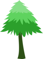pijnboom boom PNG