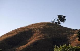 paisaje en el parque ed davis en towsley canyon, california foto