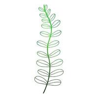 Green fern leaf in doodle style. Vector