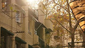 Shanghai City, China, 2021 - The beautiful city autumn view with the yellow leaves on the tree photo