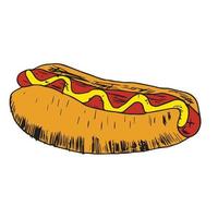 Vector vintage hot dog drawing