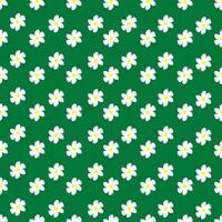 Chamomile floral seamless pattern on green background vector