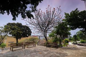 Rio de Janeiro, RJ, Brazil, 2022 - British Burial Ground - opened in 1811 in the Gamboa neighborhood, is the oldest open-air cemetery in Brazil still in activity photo