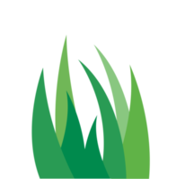 ilustración de banner de hierba png