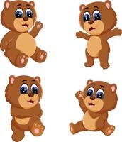 the collection of the funny baby bear with the different posing