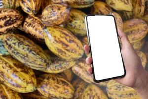 Mockup Mobile phone holding in hand with blurred cocoa fruits background, concept for using smart devices with fruit price at home, at work, on application and in daily life. photo