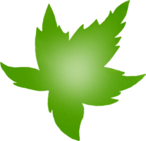 Maple leaf watercolour png