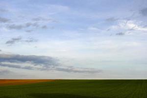 amazing flat green landscape fields with soft clouds photo