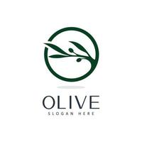 plantilla de diseño de spa y belleza con logotipo de aceite de oliva vector